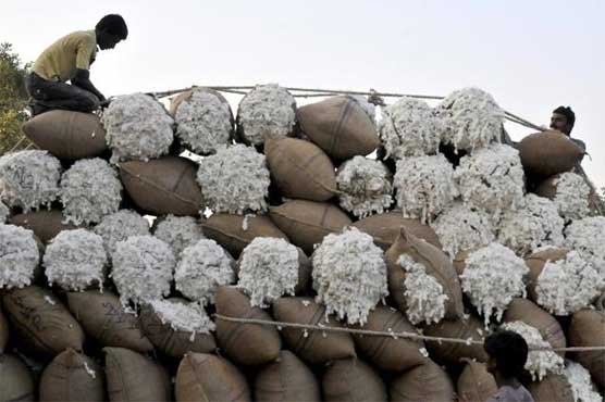 Indian cotton exports to Pakistan slump amid tensions 