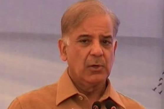 CM Shehbaz announces interest-free loans for Punjab farmers