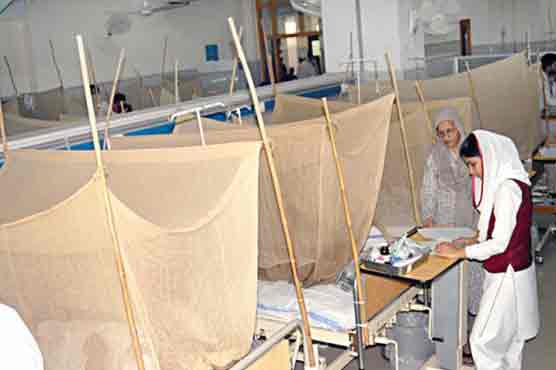  70 more dengue cases detected in Rawalpindi  