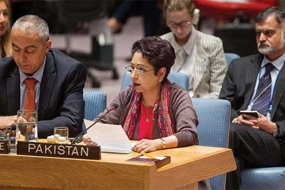 Pakistan urges focus on festering disputes as UN frames anti-terror strategy
