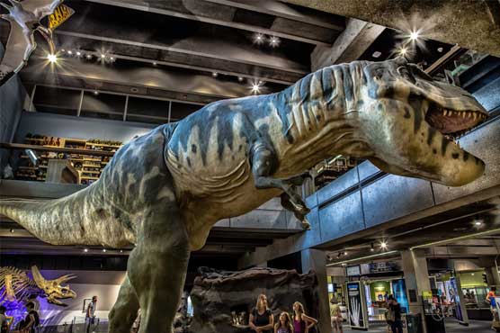 Bloomberg donates USD 50 million to Boston Museum of Science