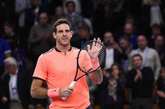 Del Potro stops Dimitrov to reach an ATP final after 2 years