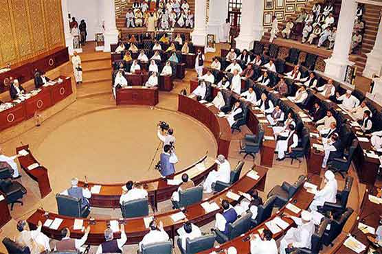JI warns of resigning in KP Assembly if Urdu not made official language