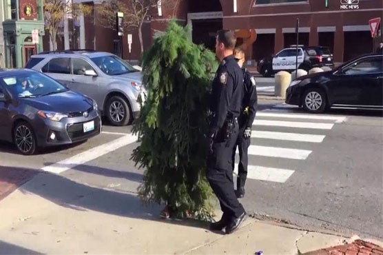 Man dressed as tree arrested for blocking traffic
