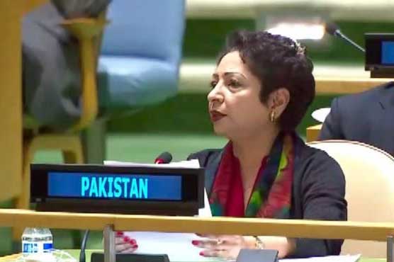 CPEC is exemplary model of cross-regional cooperation: Maleeha Lodhi