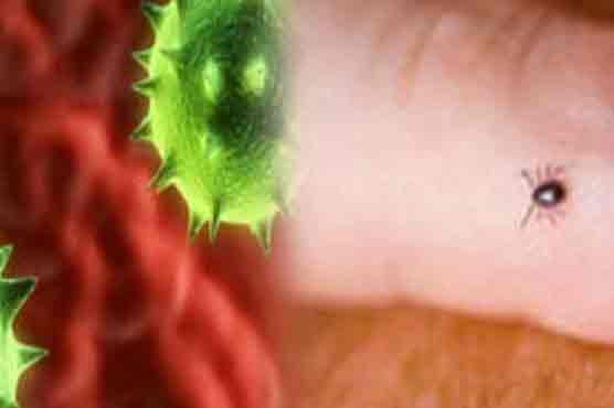 Two cases of Congo Virus detected in Karachi