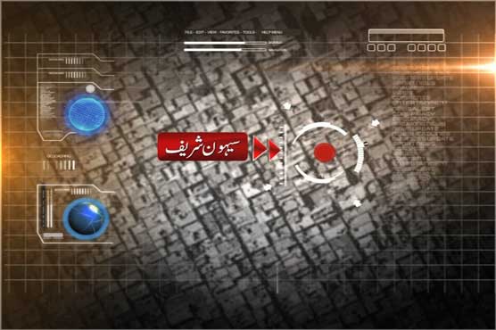 Three of a family among four killed in Sehwan accident