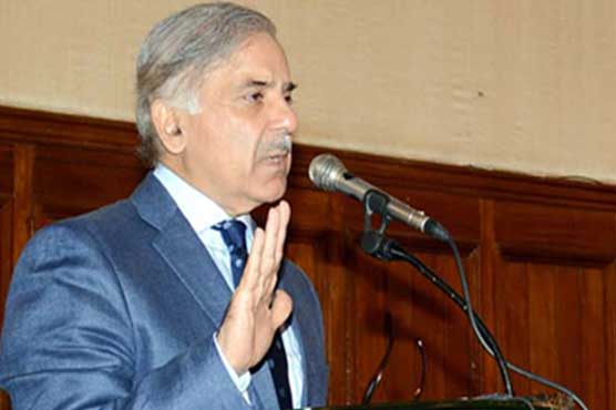 Those staging protests have nothing to do with nation's problems: CM Punjab