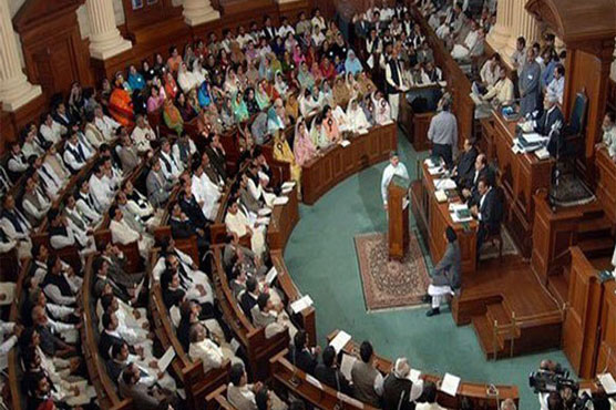 PTI submits resolutions against honour killing, lack of facilities in hospitals