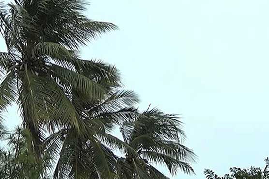 Weather to remain pleasant in Karachi during Eid-ul-Azha