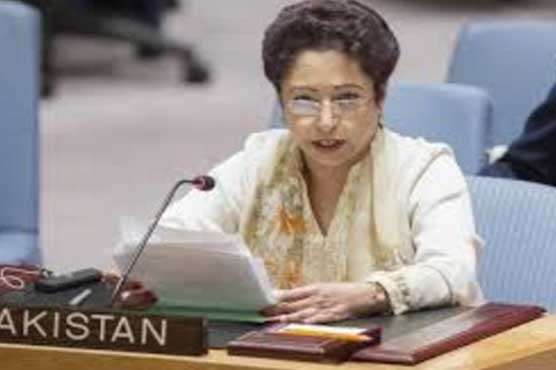 World should intervene in Indian atrocities in Kashmir: Pakistan