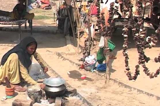 How vagrants preserve sacrificial meat without refrigerator?