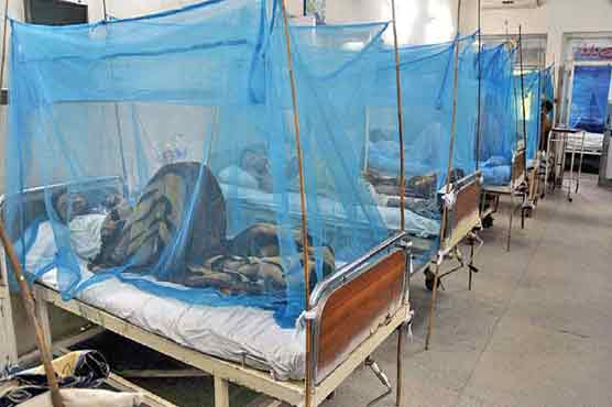 Dengue cases reaching 200 figure in Rawalpindi
