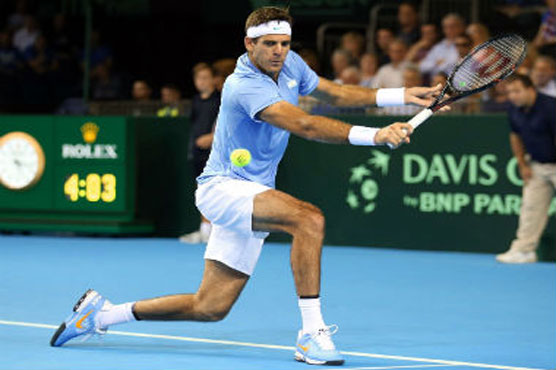 Tennis: Del Potro says will be fit for 'dream' final
