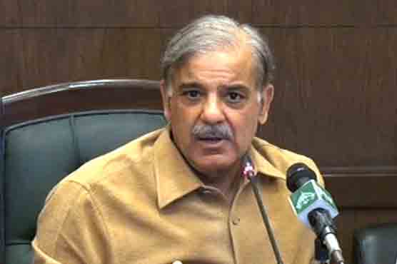 Public well aware of iniquitous designs of protestors, tells CM Shahbaz Sharif