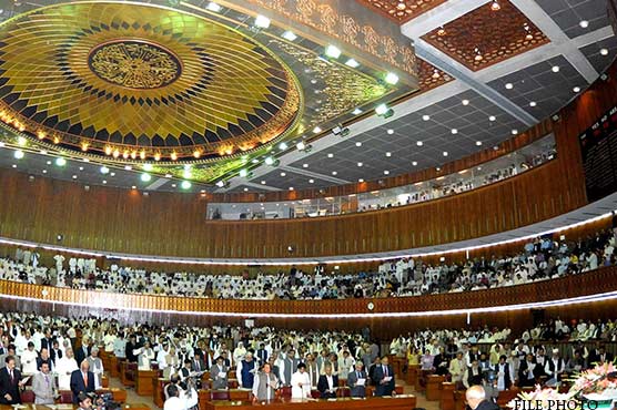 Parliamentary committee formed to oversee NAP progress
