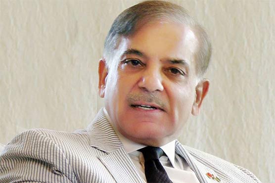 Opponents caused immense damage to economy for power: Punjab CM