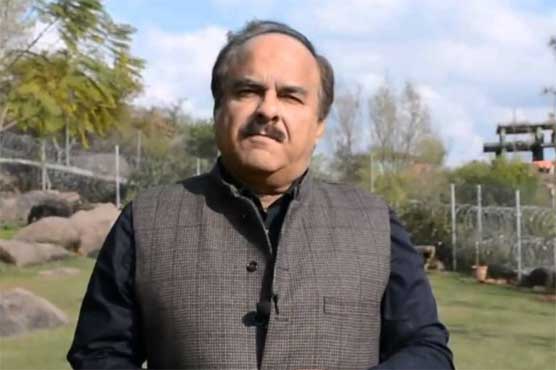 Never proposed Ayesha Gulalai for marriage: Naeem-ul-Haque