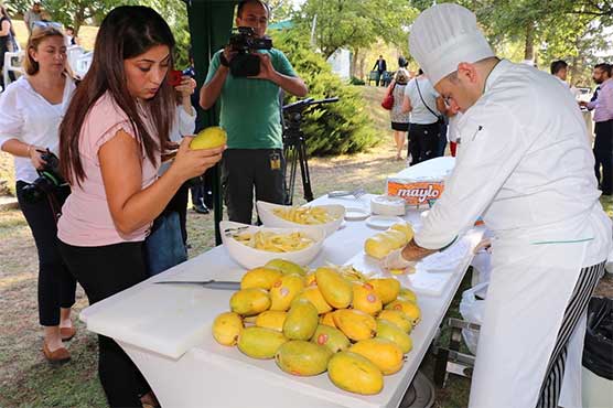 Pakistan Mango & Food Festival held in Ankara