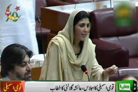 Gulalai slams PTI in NA address