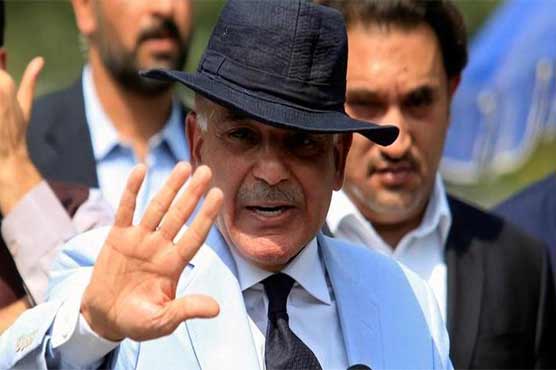 Image result for Shehbaz Sharif to be appointed PML-N President: Raja Zafarul Haq
