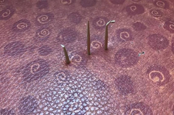 Low-crime Singapore investigating man after toothpicks found in bus seat