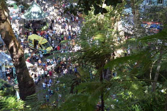 Falling tree kills 13 at Portugal religious festival