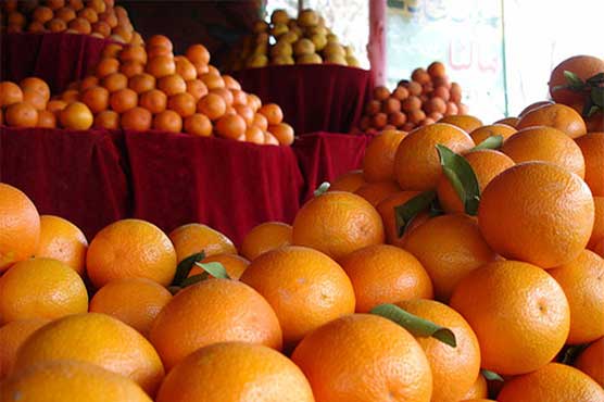 Kinow export to Indonesia increases to USD 48 million