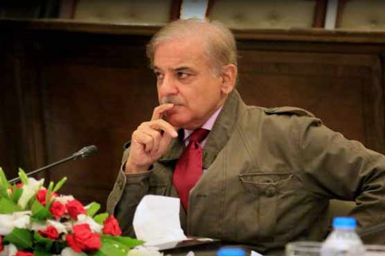 Opponents took severe drubbing, CM Shehbaz on SC's nod to OLMT