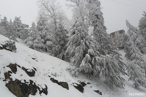 Snowfall in KP, Punjab parts leaves tourists stranded