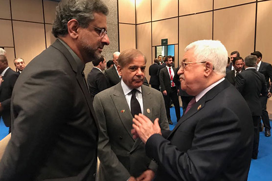 CM Shehbaz calls on Palestinian, Turkish presidents on OIC summit sidelines