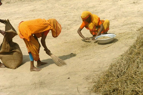 Bangladesh arrests cleric over fatwa against women farming