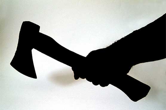 Faisalabad: Dog owner kills man for stoning the pet dog