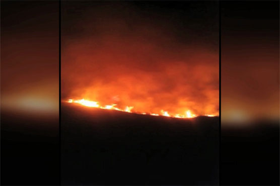 One killed as fire engulfs part of Abbottabad forest
