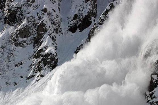 Three people die in avalanches in Swiss Alps