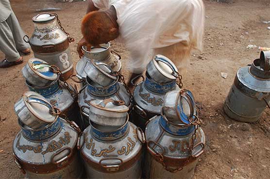 Dairy farmers defy Karachi commissioner's orders, increase milk price by Rs 6 per liter