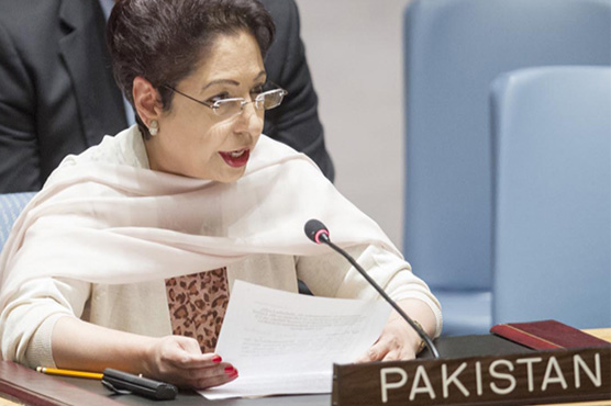 Indian bid for permanent SC seat defy democratic norm, UN told