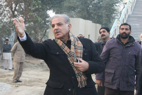 CM Shehbaz Sharif for 'complete ban' on Basant