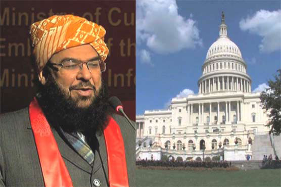 Visa delay for Senate deputy chairman: Pakistan boycotts UN meeting