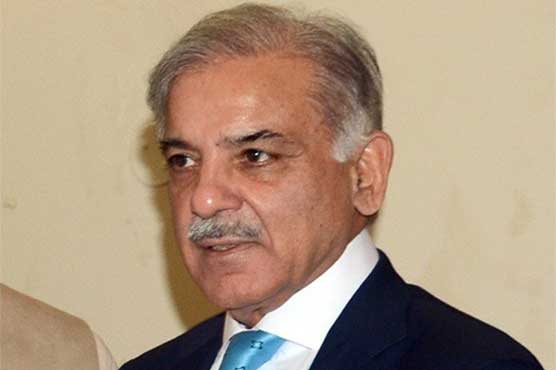 Pashtun delegate meets Punjab CM to clear reservations