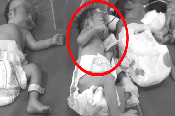 Abandoned infant bitten by dogs on Pindi Bhattian road