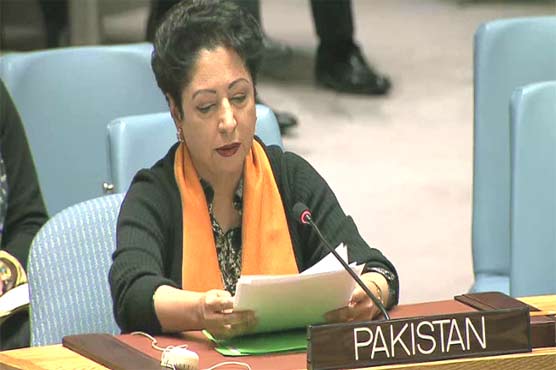 Solution to unresolved conflicts lies in diplomacy: Maleeha