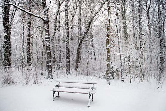 Europe freeze claims more lives