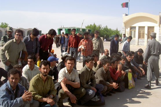Iran expels 8000 Afghan immigrants