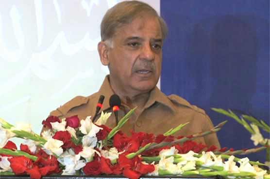 Pak-US terms to further strengthen in Trump's presidency: CM Shehbaz
