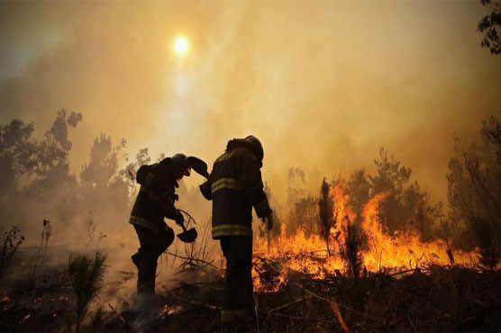 Chile wildfires kill 10 people: president