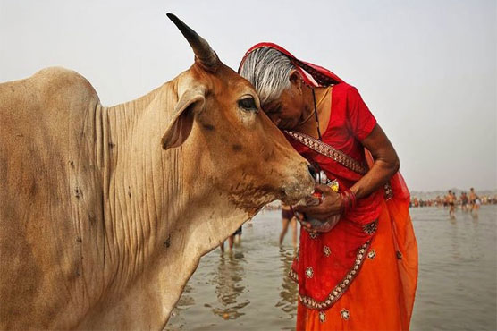 India's top court says no to national ban on cow slaughter