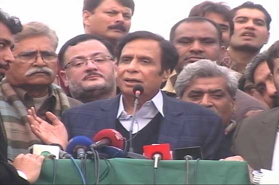 Opposition should unite to get rid of PML-N: Pervez Elahi