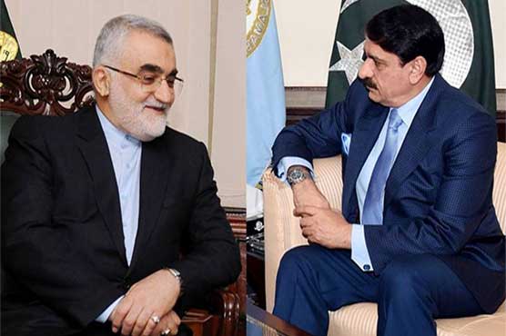 Pakistani, Iranian committee members to jointly visit 'sister ports'