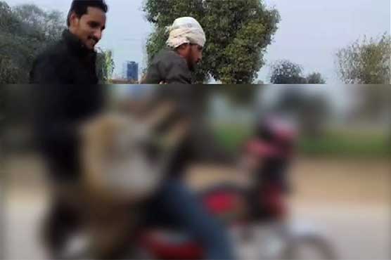 Poor performance during robbery: Owner sentences dog to exile